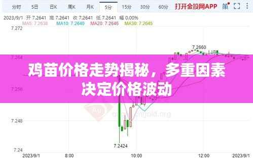 鸡苗价格走势揭秘,多重因素决定价格波动