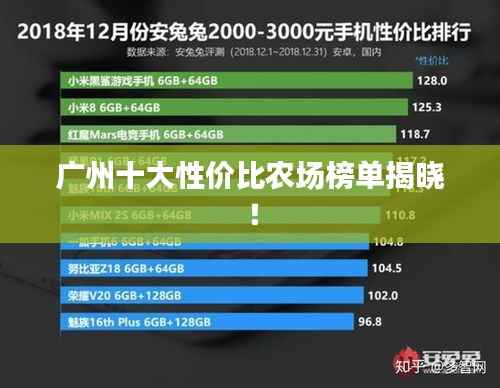 广州十大性价比农场榜单揭晓!