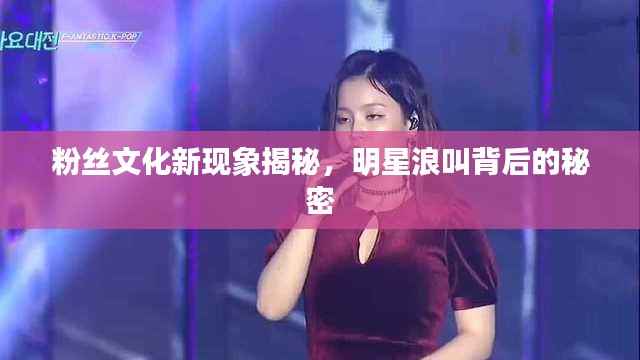 粉丝文化新现象揭秘,明星浪叫背后的秘密