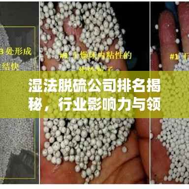 湿法脱硫公司排名揭秘,行业影响力与领先者的优势