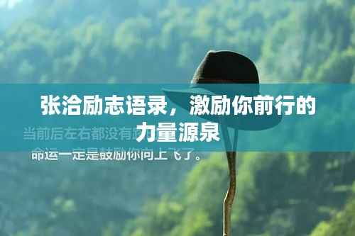 张洽励志语录,激励你前行的力量源泉