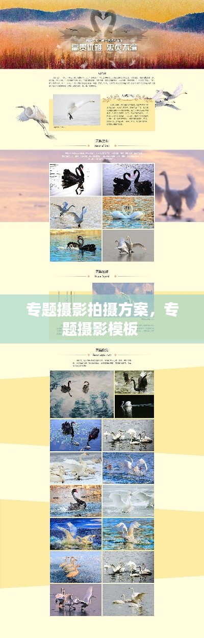 专题摄影拍摄方案,专题摄影模板