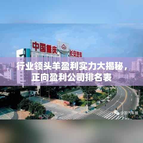 行业领头羊盈利实力大揭秘,正向盈利公司排名表