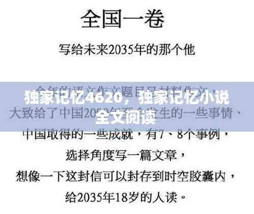 独家记忆4620,独家记忆小说全文阅读