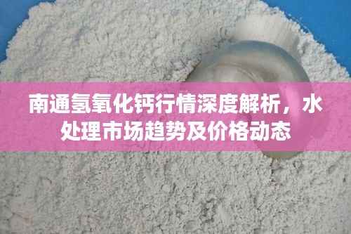 南通氢氧化钙行情深度解析，水处理市场趋势及价格动态
