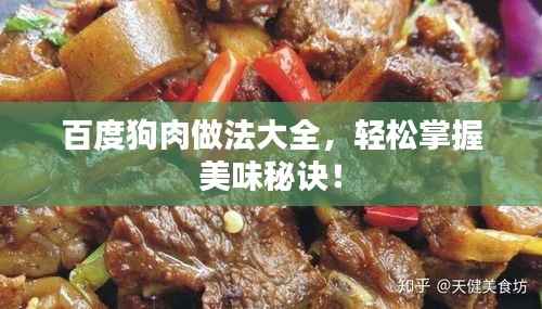 百度狗肉做法大全,轻松掌握美味秘诀!