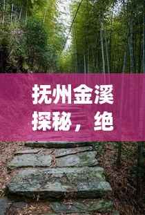 抚州金溪探秘,绝美风光与丰富人文的完美融合旅游攻略!