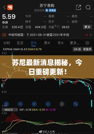 苏尼最新消息揭秘,今日重磅更新!