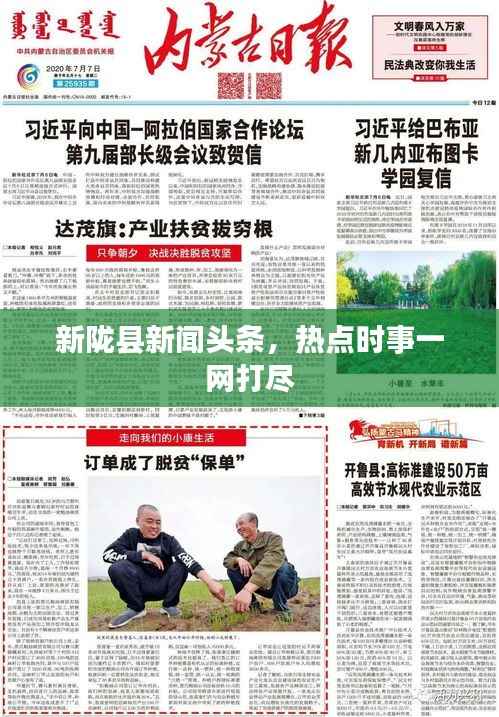 凤凰于飞 第4页