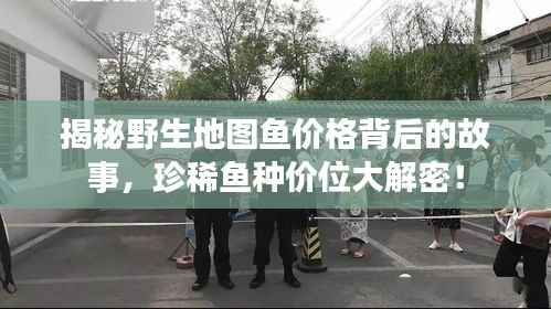 揭秘野生地图鱼价格背后的故事,珍稀鱼种价位大解密!