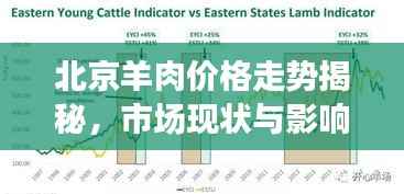 北京羊肉价格走势揭秘,市场现状与影响因素分析