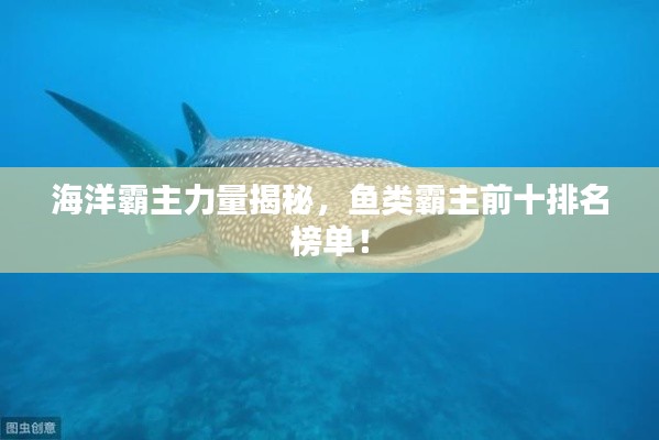 海洋霸主力量揭秘,鱼类霸主前十排名榜单!