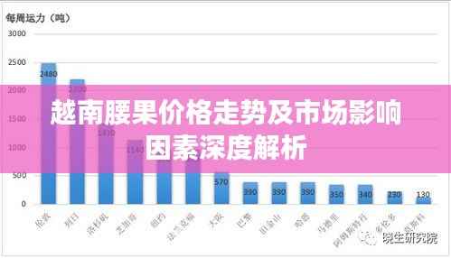 越南腰果价格走势及市场影响因素深度解析