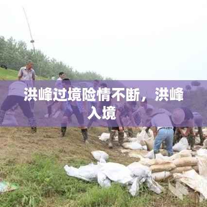 遍地开花 第2页