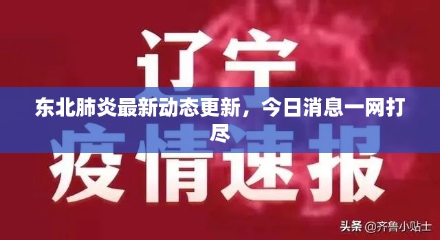 东北肺炎最新动态更新,今日消息一网打尽