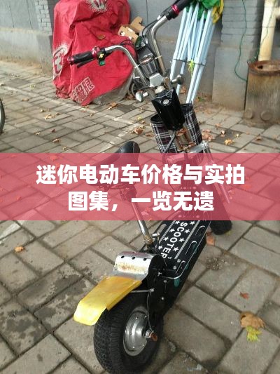 迷你电动车价格与实拍图集,一览无遗