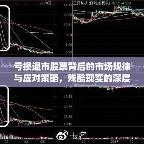 亏损退市股票背后的市场规律与应对策略,残酷现实的深度剖析