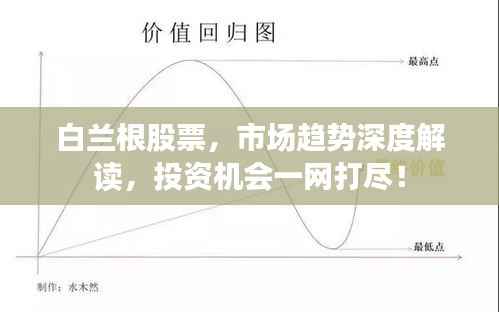 白兰根股票,市场趋势深度解读,投资机会一网打尽!