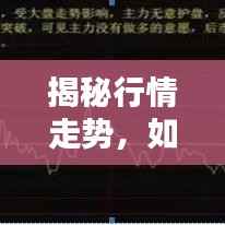 揭秘行情走势，如何精准判断做多时机！