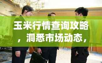 玉米行情查询攻略,洞悉市场动态,轻松把握商机!