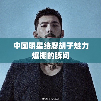 中国明星络腮胡子魅力爆棚的瞬间