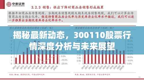 揭秘最新动态,300110股票行情深度分析与未来展望