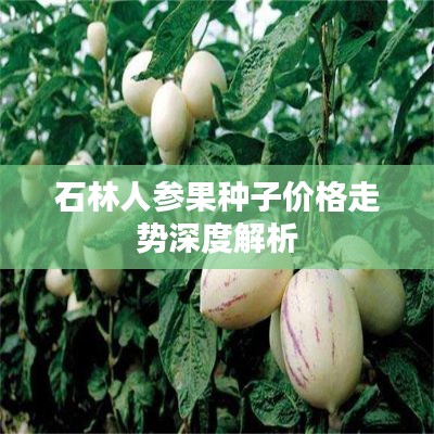 石林人参果种子价格走势深度解析