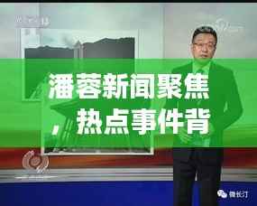 潘蓉新闻聚焦,热点事件背后的公众关注点揭秘