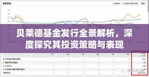 贝莱德基金发行全景解析,深度探究其投资策略与表现