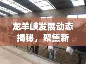 龙羊峡发展动态揭秘,聚焦新闻头条,洞悉新动向