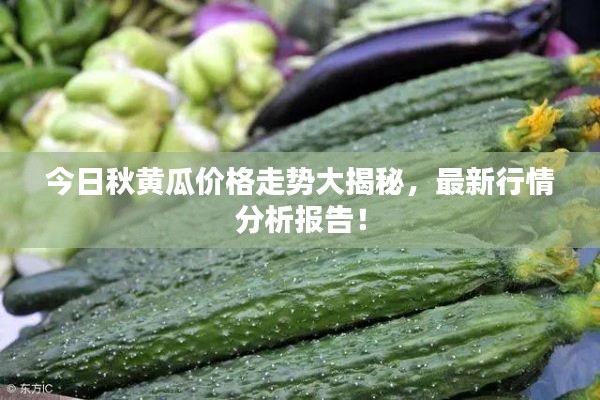 今日秋黄瓜价格走势大揭秘,最新行情分析报告!