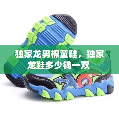 独家龙男棉童鞋,独家龙鞋多少钱一双