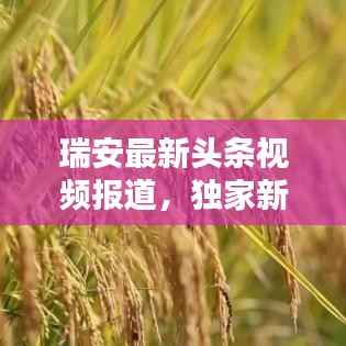瑞安最新头条视频报道,独家新闻速递