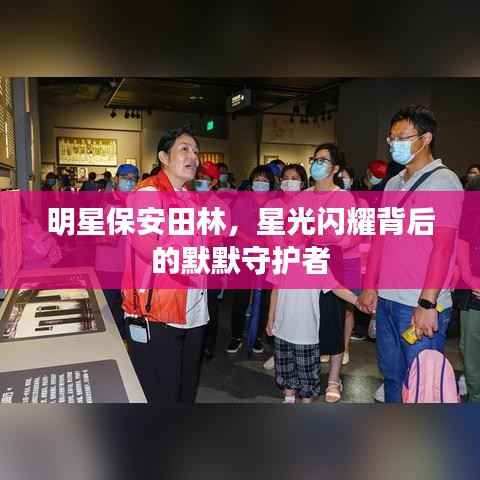 明星保安田林,星光闪耀背后的默默守护者