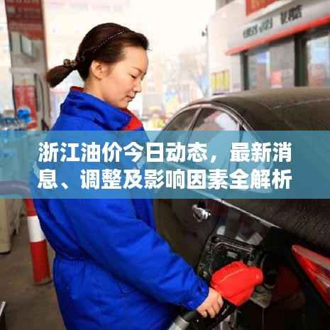 浙江油价今日动态,最新消息、调整及影响因素全解析