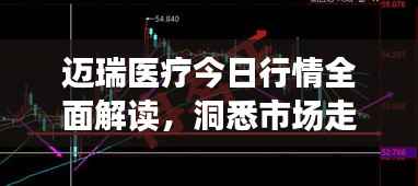 迈瑞医疗今日行情全面解读,洞悉市场走势,把握投资机会