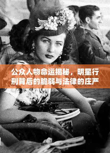 公众人物命运揭秘,明星行刑背后的脆弱与法律的庄严界限