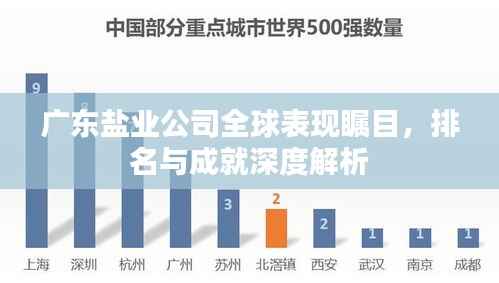广东盐业公司全球表现瞩目,排名与成就深度解析