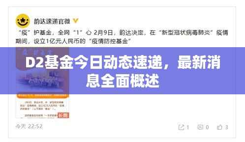 D2基金今日动态速递,最新消息全面概述