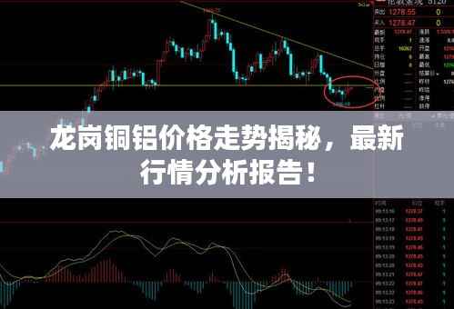龙岗铜铝价格走势揭秘,最新行情分析报告!