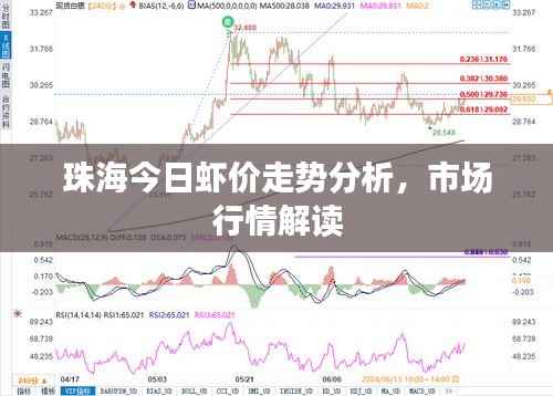 珠海今日虾价走势分析,市场行情解读