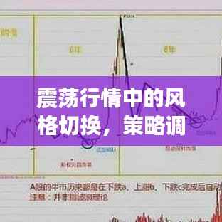 震荡行情中的风格切换,策略调整与应对之道