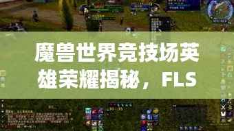 魔兽世界竞技场英雄荣耀揭秘,FLS排名引领潮流!