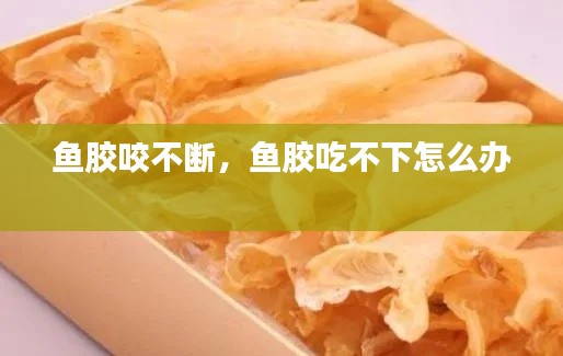 鱼胶咬不断,鱼胶吃不下怎么办
