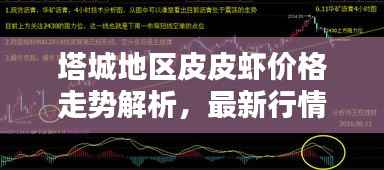 塔城地区皮皮虾价格走势解析,最新行情报告!