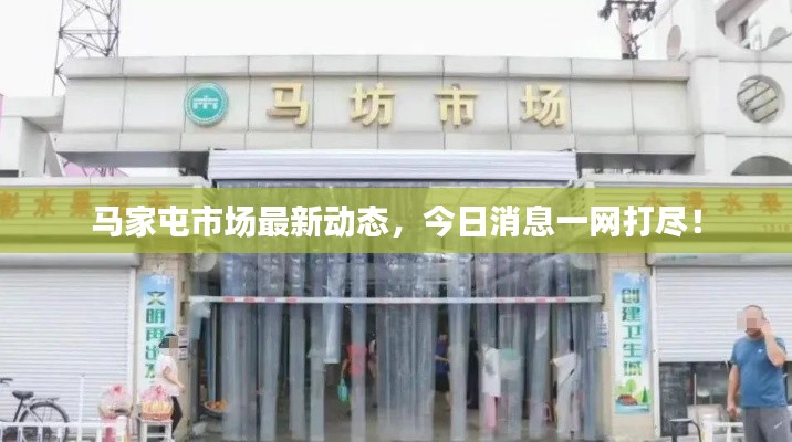 马家屯市场最新动态,今日消息一网打尽!