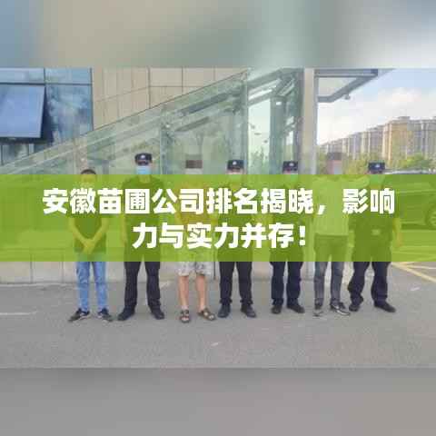 安徽苗圃公司排名揭晓,影响力与实力并存!