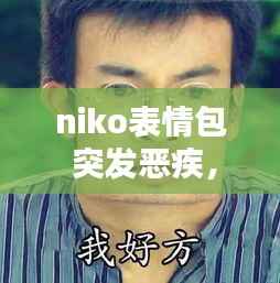 niko表情包 突发恶疾,