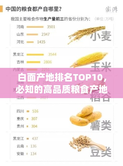 白面产地排名TOP10,必知的高品质粮食产地榜单!