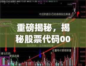 重磅揭秘，揭秘股票代码002209股票分红的全面解读与策略分析